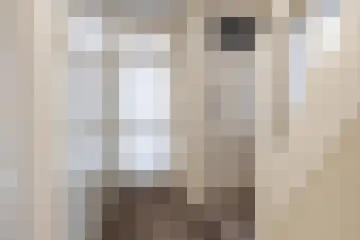 Perebomenweg 12 Elim thumbnail 6