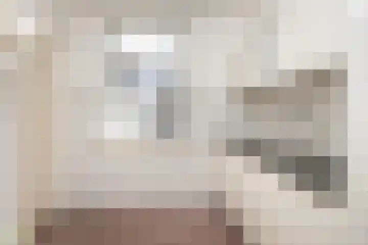 Perebomenweg 12 Elim thumbnail 9