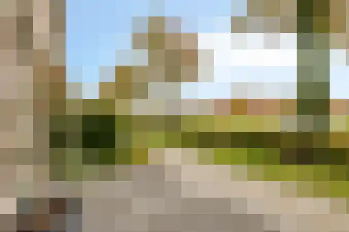 Pereboomweg 5 Almere thumbnail 36