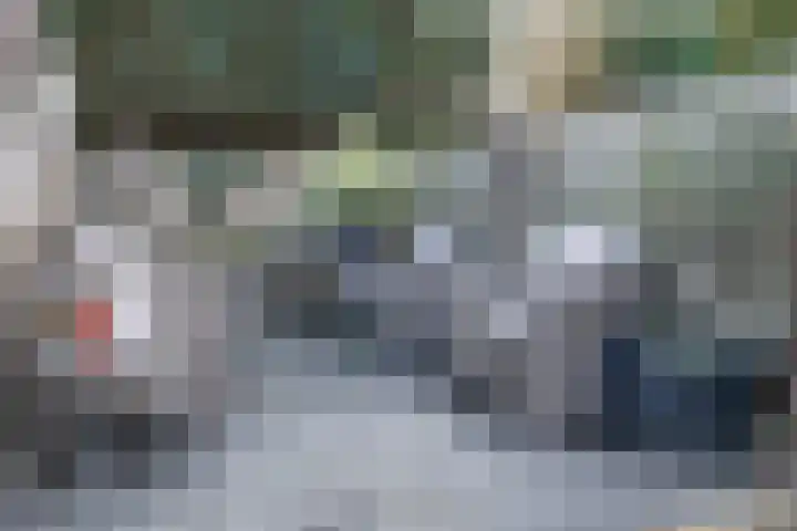 Peregaard 38 Elst thumbnail 33