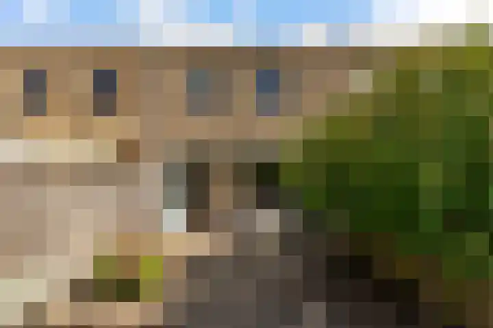 Peregaard 38 Elst thumbnail 58