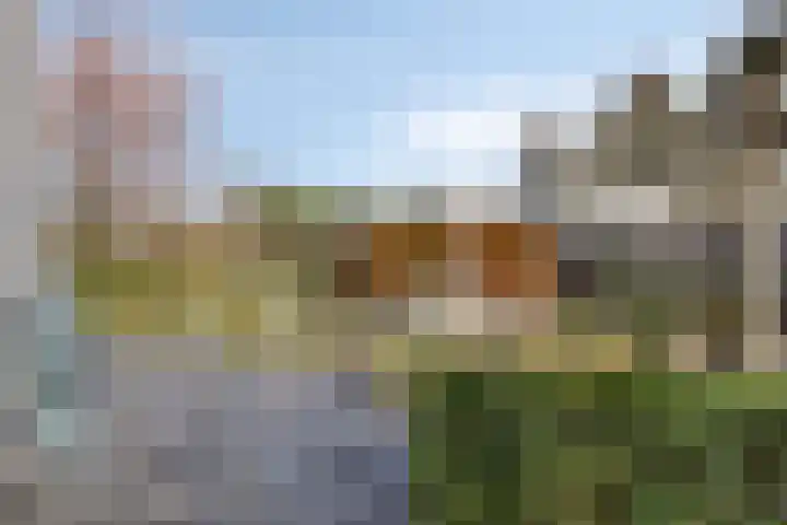 Peregaard 38 Elst thumbnail 6