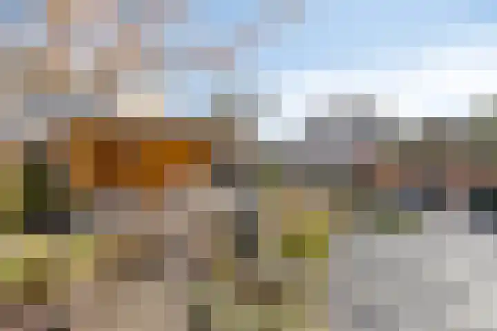 Peregaard 38 Elst thumbnail 8
