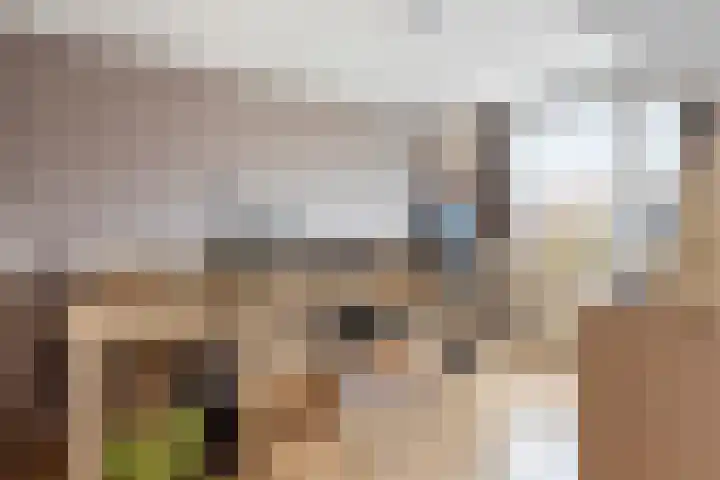 Peregaarde 14 Benthuizen thumbnail 15