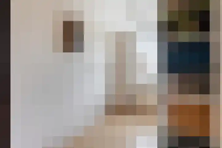 Peregaarde 14 Benthuizen thumbnail 16