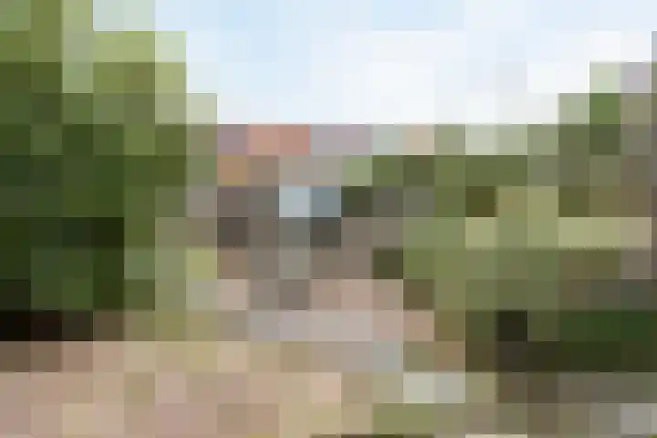 Peregaarde 14 Benthuizen thumbnail 23