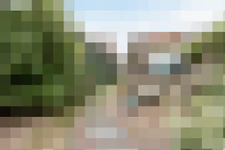 Peregaarde 14 Benthuizen thumbnail 24