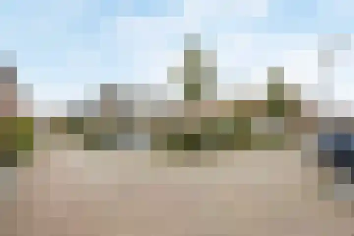 Peregaarde 14 Benthuizen thumbnail 27