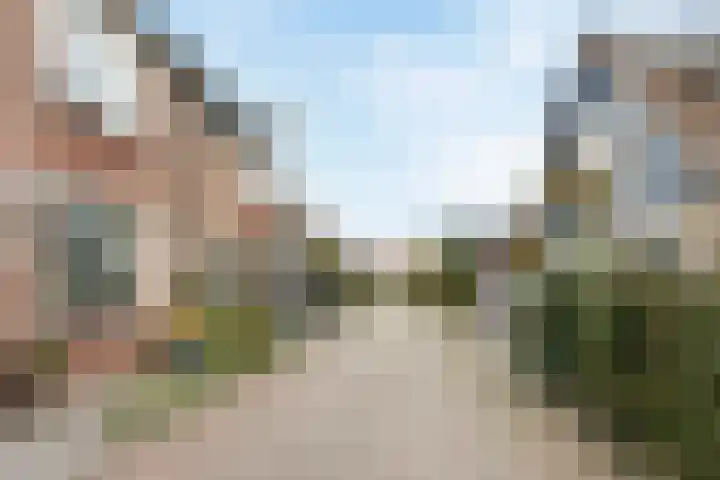 Peregaarde 14 Benthuizen thumbnail 28