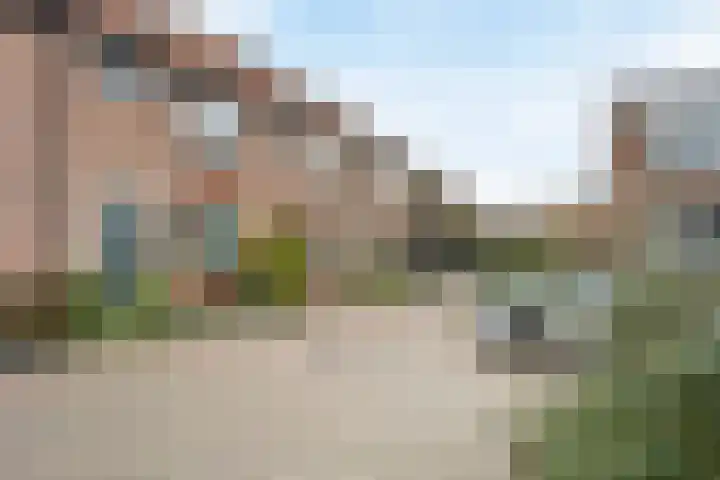 Peregaarde 14 Benthuizen thumbnail 30