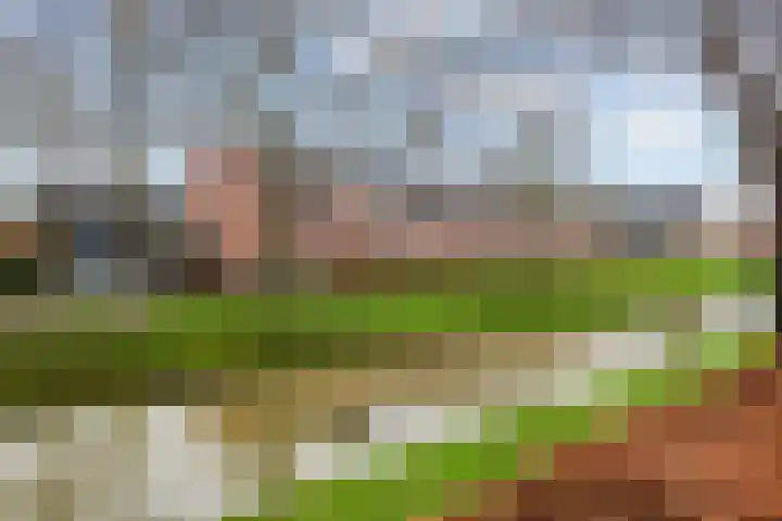 Perendreef 16 Arkel