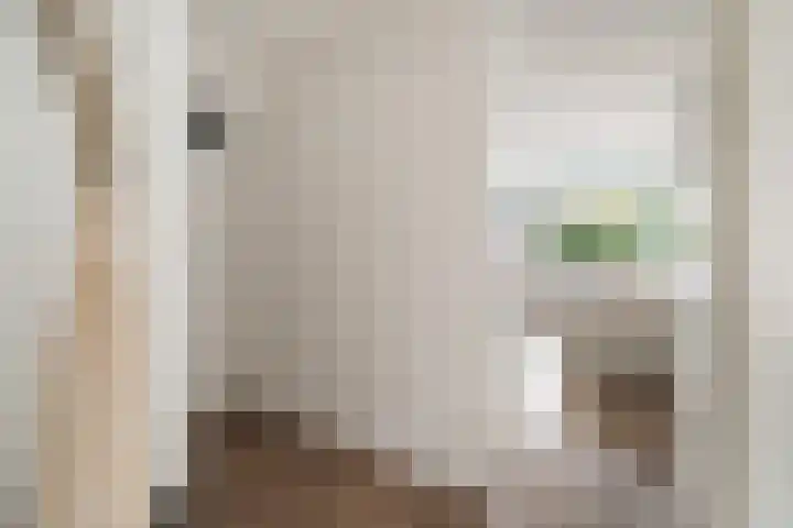 Perengaarde 43 Zoetermeer thumbnail 22
