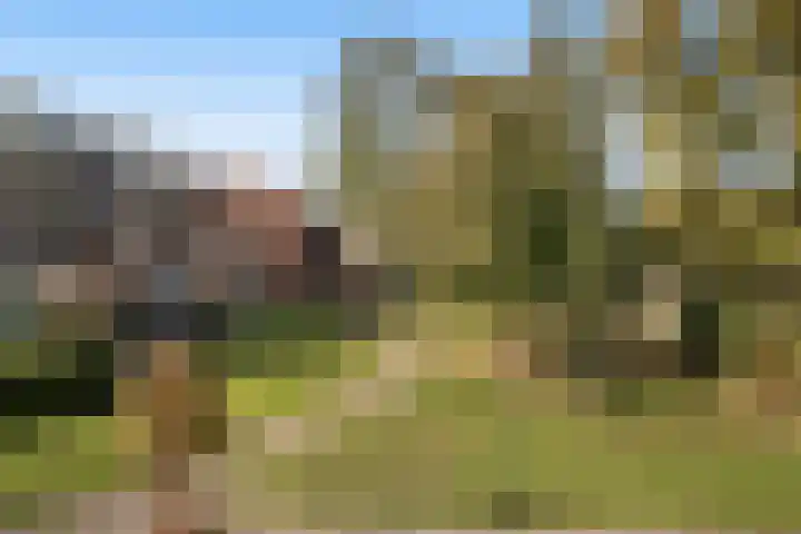 Perengaarde 43 Zoetermeer thumbnail 34