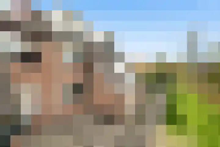 Perengaarde 43 Zoetermeer thumbnail 5