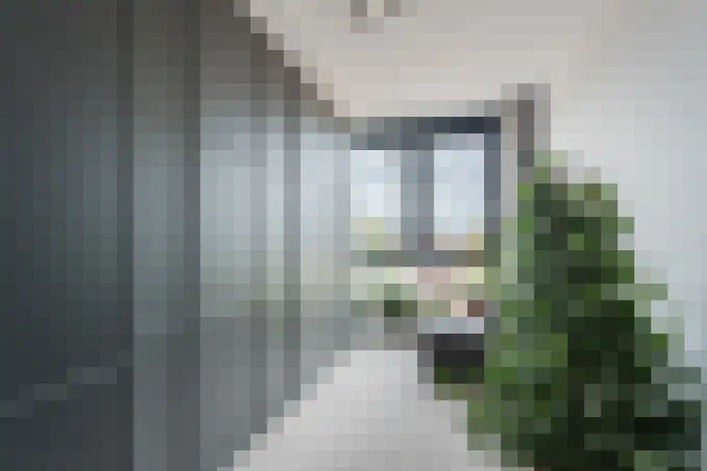 Perengaarde 68 Boskoop thumbnail 27