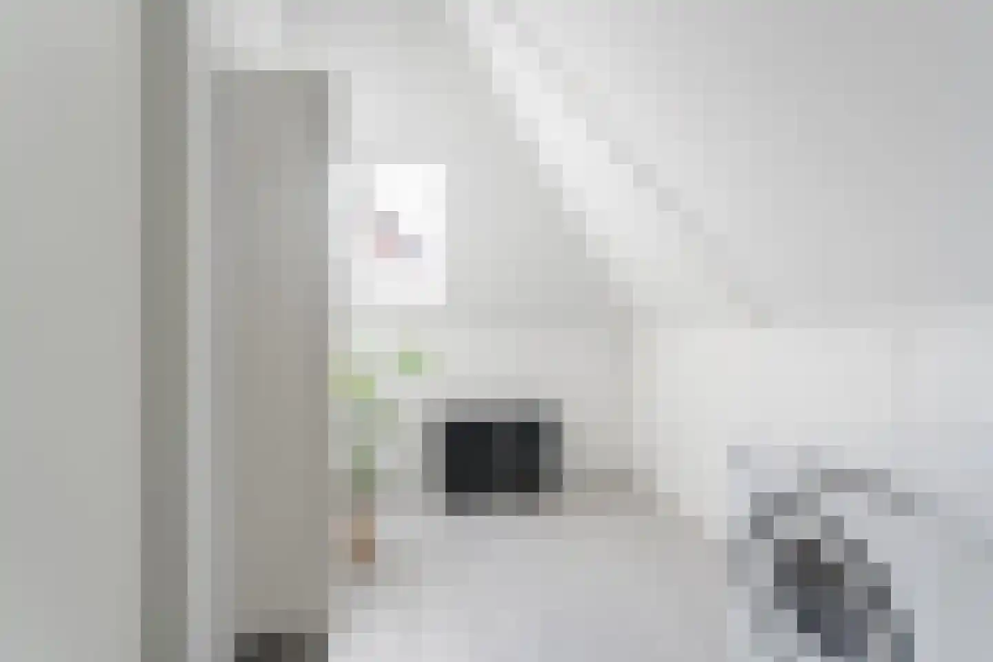 Perengaarde 68 Boskoop thumbnail 33