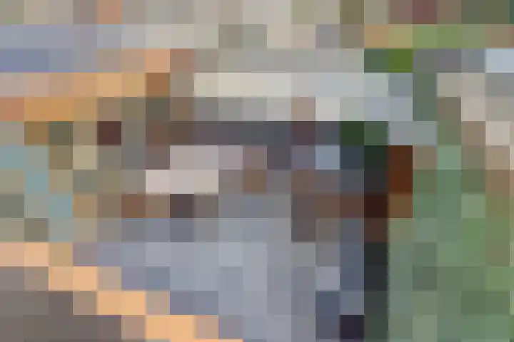 Perenhof 7 Bemmel thumbnail 19