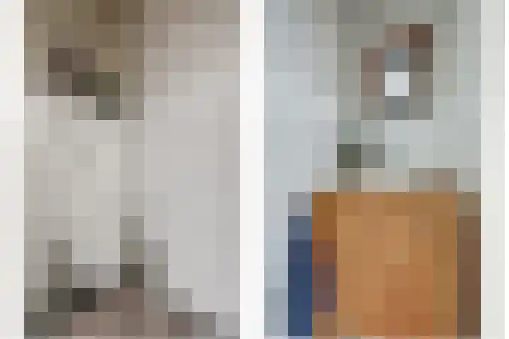 Perenhof 7 Bemmel thumbnail 5