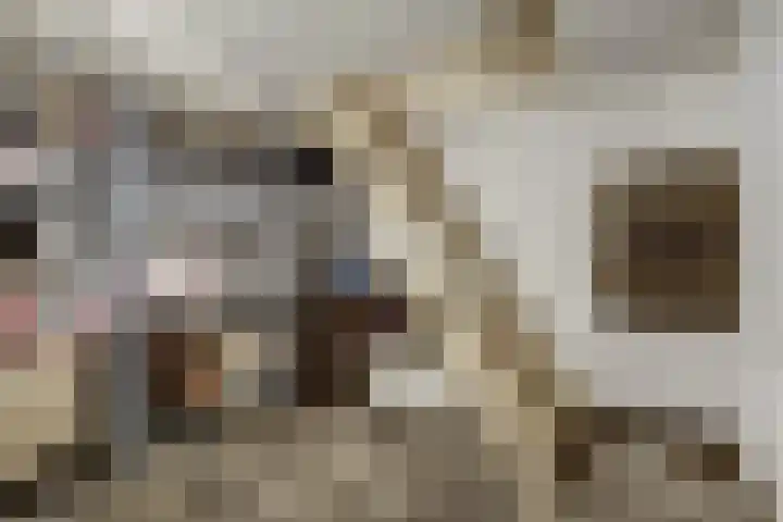 Perenhof 7 Bemmel thumbnail 50