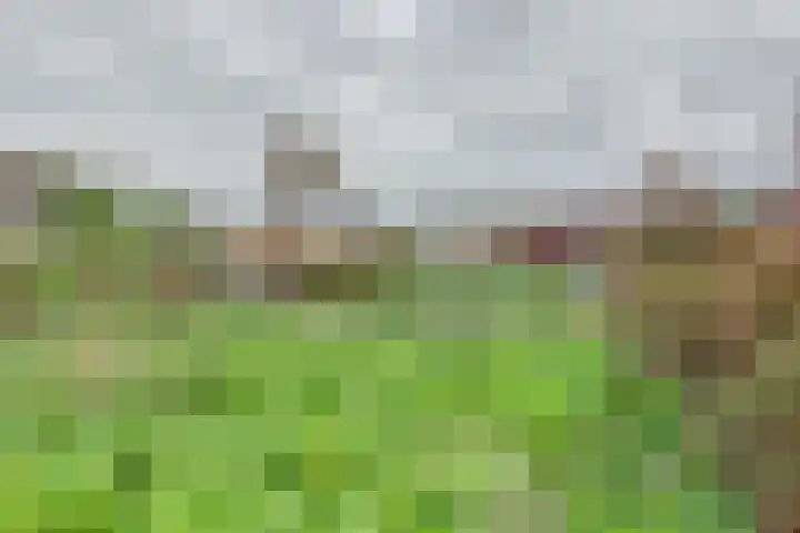 Perenhof 7 Bemmel thumbnail 56