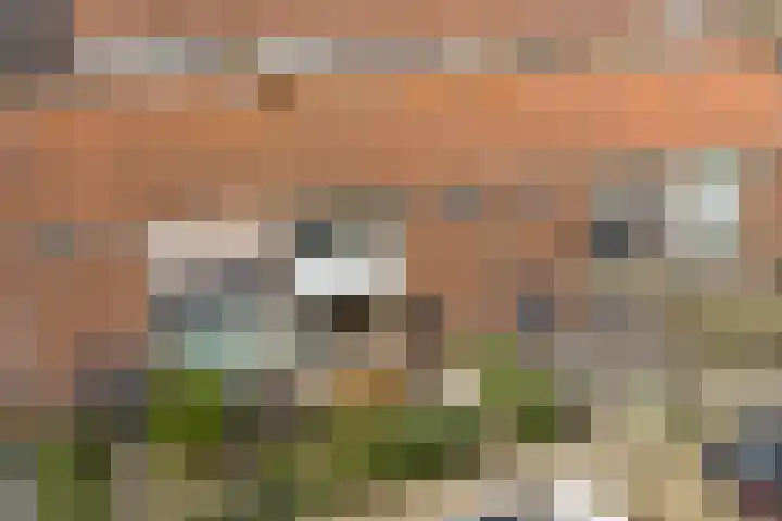 Perestraat 19 Goes thumbnail 30