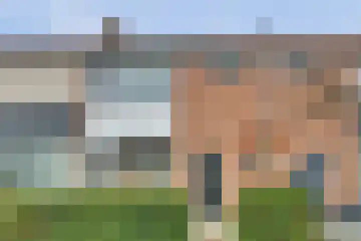 Perestraat 19 Goes thumbnail 5