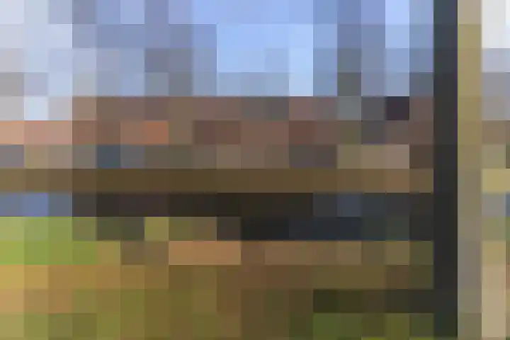 Pergola 42 Hoorn thumbnail 5