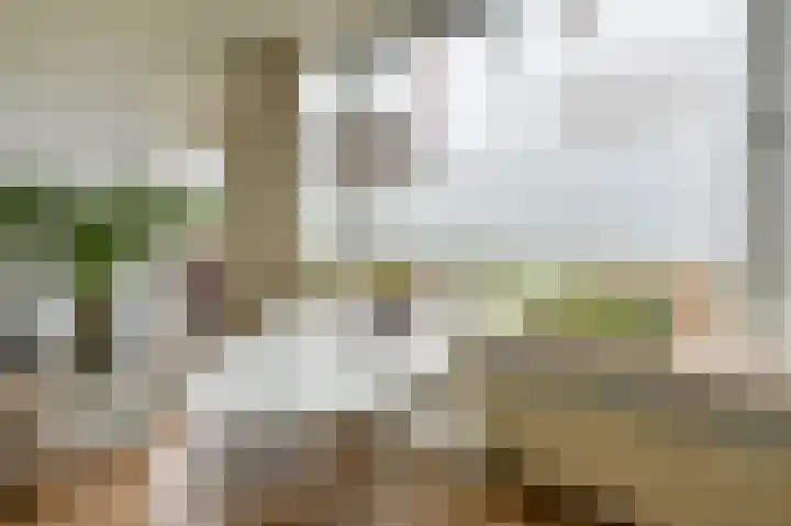 Perkstraat 19 Zoetermeer thumbnail 9