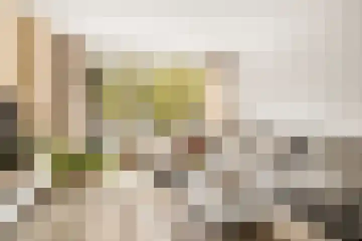 Perkstraat 32 Zoetermeer thumbnail 11