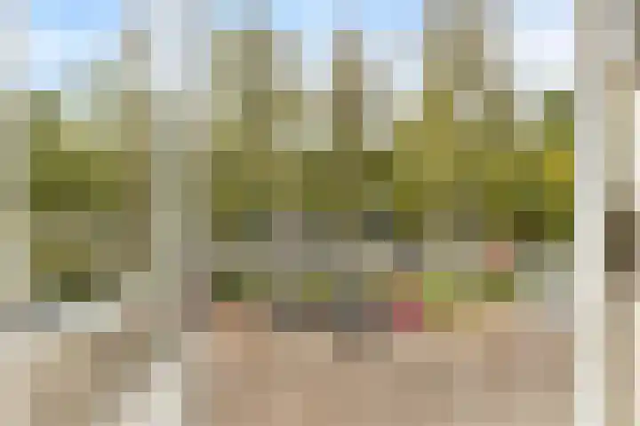 Perkstraat 32 Zoetermeer thumbnail 27