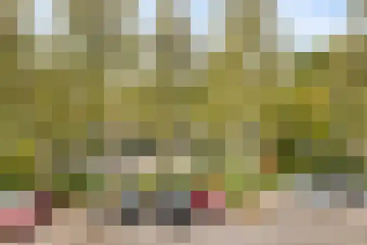 Perkstraat 32 Zoetermeer thumbnail 28