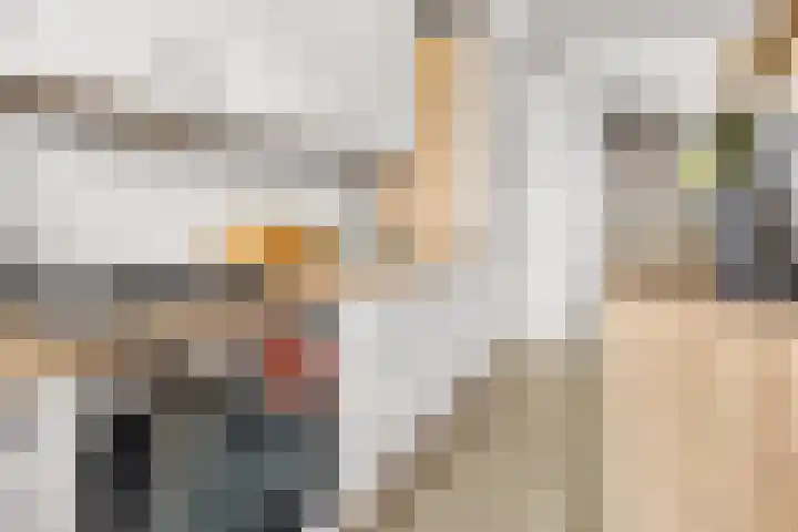 Perkstraat 32 Zoetermeer thumbnail 9