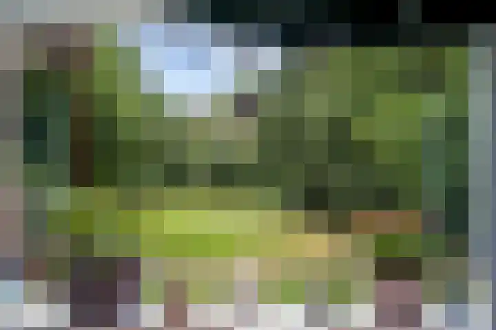 Pernambucodreef 6 Utrecht thumbnail 10