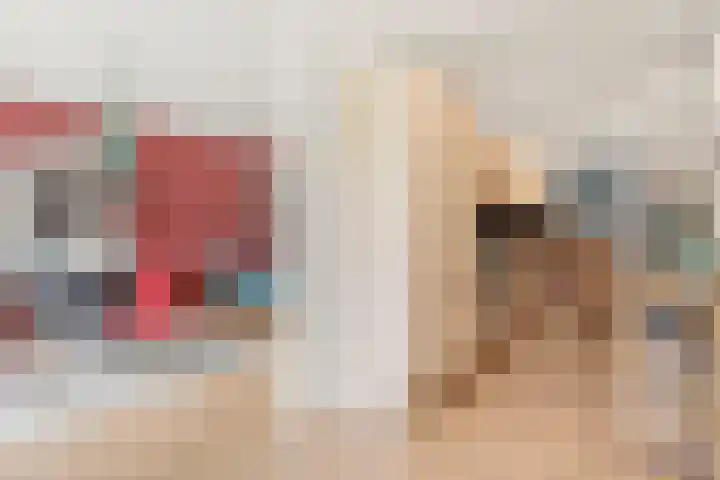 Pernambucodreef 6 Utrecht thumbnail 12