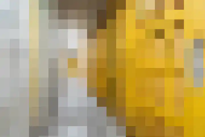 Pernambucodreef 6 Utrecht thumbnail 29