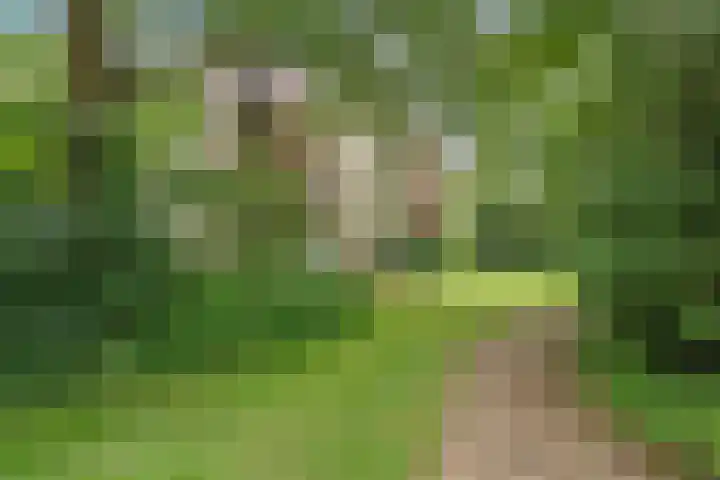 Pernambucodreef 6 Utrecht thumbnail 30
