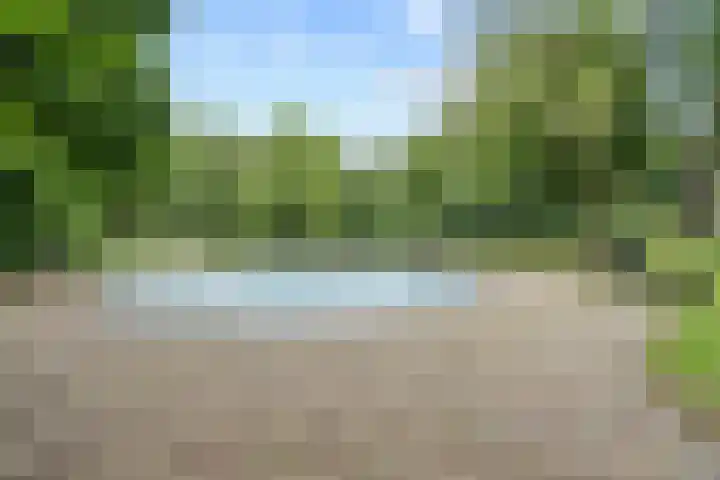 Pernambucodreef 6 Utrecht thumbnail 31