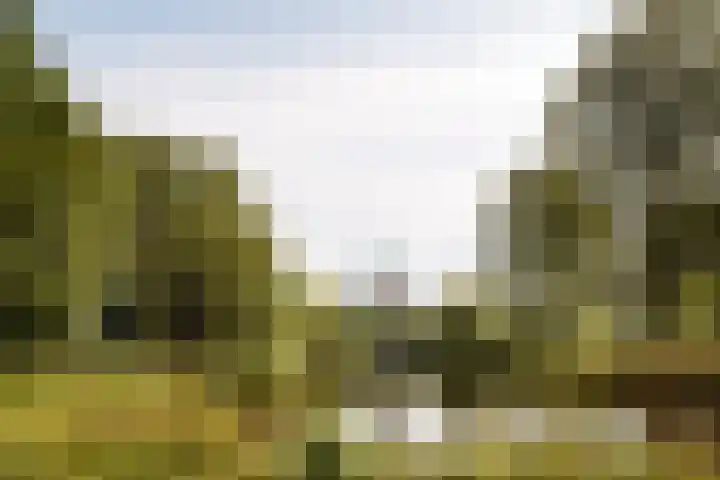 Pernambucodreef 6 Utrecht thumbnail 33