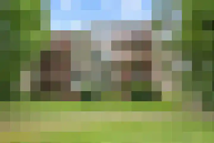 Pernambucodreef 6 Utrecht thumbnail 38