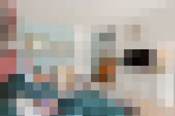 Pernambucodreef 6 Utrecht thumbnail 5