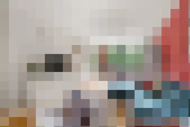 Pernambucodreef 6 Utrecht thumbnail 7