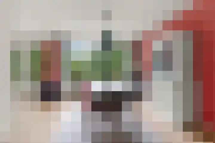 Pernambucodreef 6 Utrecht thumbnail 8