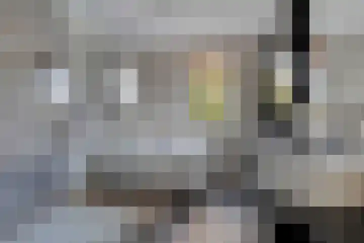 Pernisstraat 1 Zoetermeer thumbnail 26