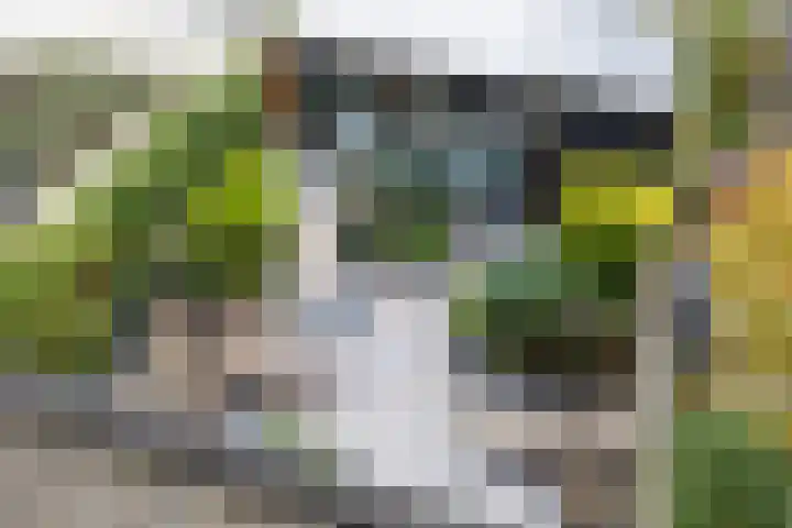 Pernisstraat 1 Zoetermeer thumbnail 35