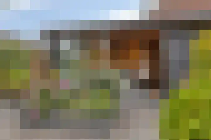 Pernisstraat 1 Zoetermeer thumbnail 39