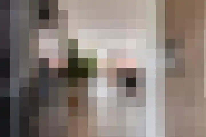 Pernisstraat 16 Zoetermeer thumbnail 13