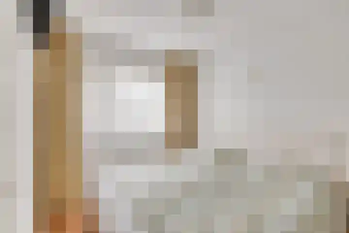 Pernisstraat 16 Zoetermeer thumbnail 15