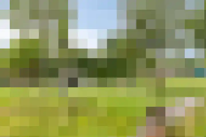 Pernisstraat 16 Zoetermeer thumbnail 5