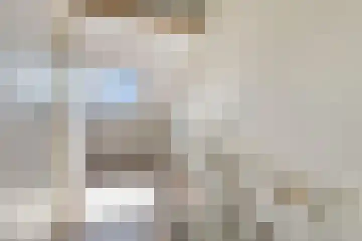 Pernisstraat 24 Zoetermeer thumbnail 32