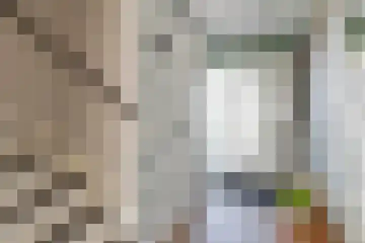 Pernisstraat 24 Zoetermeer thumbnail 9